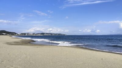 お金と仕事　－『DIE WITH ZERO』を読んで－